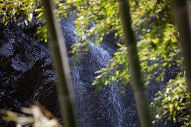 传《EA Sports FC 25》即将公布 9月发售